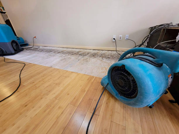 Professional Structural Drying technician working in Marshall, MN